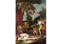 SO VII-192 Sebastiano Ricci - Bacchus a Ariadna