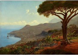 A-4293 Johan Fredrik Eckersberg - Pohled na Funchal na Madeiře